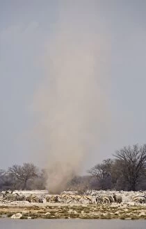 Images Dated 12th October 2007: Dust Devil