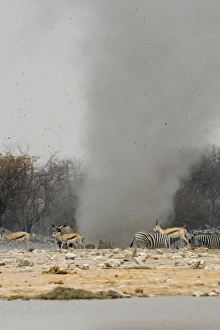 Images Dated 26th April 2000: Dust Devil Throwing debris high in the air at Goas Waterhole Etosha National Park, Namibia, Africa