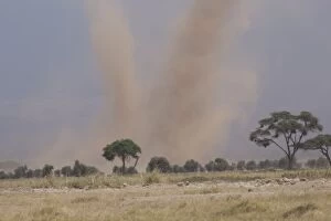 Dust Storm Amboseli National Park, Kenya