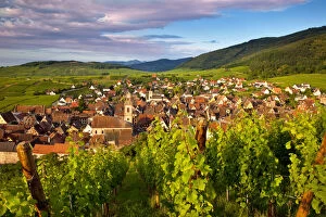 Early morning overlooking village of Riquewihr
