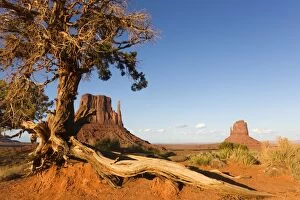 Images Dated 19th April 2012: East and Merrick Mitten Butte