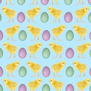 Backgrounds Gallery: Easter chick and egg pattern
