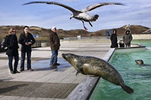 Images Dated 27th March 2009: Ecomar visitors centre and seals rescue centre