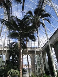 Images Dated 22nd August 2005: Edinburgh Botanic Garden Palm House