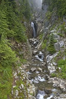 Images Dated 9th August 2006: Edith Creek Falls. Mount Rainier National Park, Washington State, USA LA001434