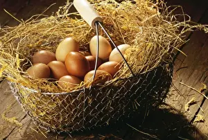 Eggs in basket JLR03466