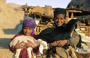Bedouins Gallery: Egypt - Bedouin children cuddle goats