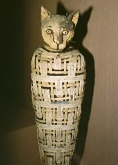 Middle East Prints: Egypt - Mummified Cat, dedicated to Goddess Bastet. 30 BC