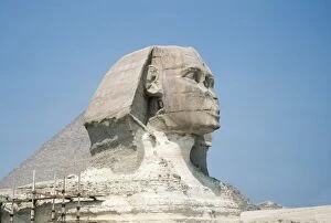 Images Dated 22nd July 2005: Egypt - The Sphinx
