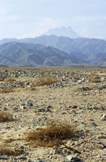 Images Dated 24th May 2007: Egypt - typical scene in Arabian desert appr. 50 km from Hurghada town (Red Sea shore)