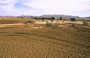 Oasis Prints: Egypt - A typical uninhabited oasis on a salt water spring in Arabian desert approx