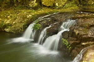 Elabana Falls - waterfall amidst lush subtropical rainforest