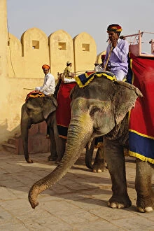 Riding Gallery: Elephant driver at Amber Fort, Jaipur, India
