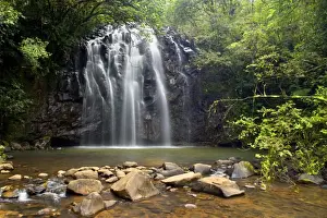 Elinjaa Falls - idyllic waterfall plunges into a pool in lush tropical rainforest. This is one of the three famous waterfalls along the so called waterfall circuit which connects Elinjaa, Zillie and Millaa Millaa Falls - Atherton Tablelands
