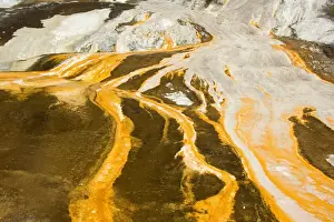Algae Prints: Emerald Terrace colourful silica terrace formed by hot water algae growing in the geothermal area of Orakei Korako also