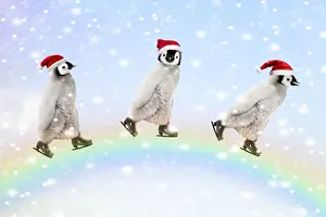 Dream Prints: Emperor Penguins, three chicks ice skating over a rainbow
