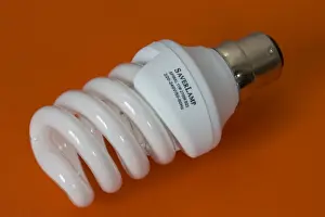 Green Energy Prints: Energy efficient light bulb or Saverlamp