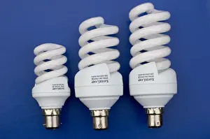 Light Prints: Energy efficient light bulbs or Saverlamp