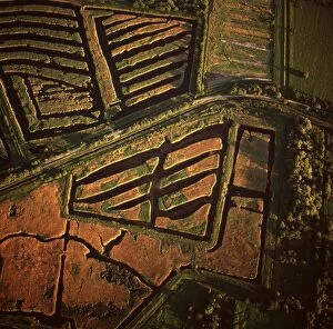 England - Aerial view, Peat Extraction, Westhay Moor