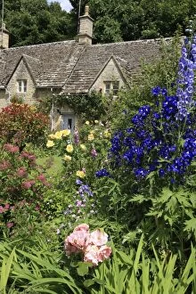 Images Dated 19th June 2008: English Country Cottage - and garden