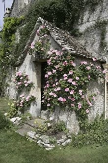 Images Dated 21st June 2005: English Country Cottage - with Roses around entrance