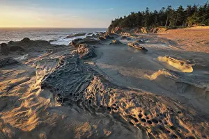 Seashore Prints: Eroded sandstone concretions and formations at Shore Acres State Park