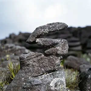 Venezuela Prints: Eroded sandstone rockshape on summit of Mount Kukenaam (Kukenan)