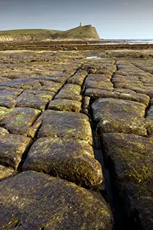Seashore Prints: Eroded wave-cut platform - low tide - at Kimmeridge Bay - Dorset