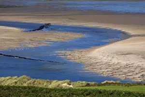 Estuaries Prints: Estuary Channel - at low tide, Budle Bay wildfowl reserve