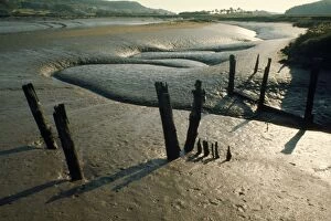 Images Dated 9th February 2007: Estuary - mudflats