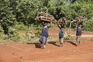 Ethiopia - child carrying wood