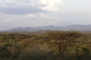 Images Dated 19th August 2005: Ethiopia - country of Hamer tribe - lower basin of Omo River