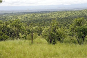 Images Dated 5th August 2006: Ethiopia - Landscape view of the outer Region of Surma tribe of Ethiopia near town of Kibisch