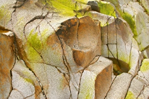 Etive riverbed - dried off riverbed with red rocks covered with colourful algae and lichen