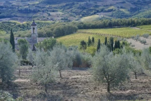 Images Dated 21st May 2012: Europe, Italy, Tuscany, Chianti, Chianti