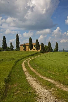 Europe, Italy, Tuscany. Pienza. Road Leading