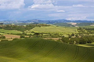 Europe, Italy, Tuscany. Rolling Hills of