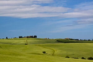 Europe, Italy, Tuscany. Tuscan Green Rolling