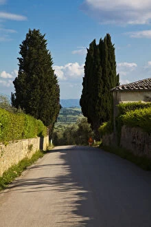 Back Gallery: Europe, Italy, Tuscany. Tuscan Back road