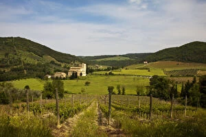 Europe, Italy, Tuscany. Vineyards leading