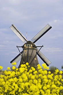 Europe, Netherlands, Kinderdijk. Windmill