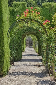 Europe, Spain, Granada, Alhambra. Archway