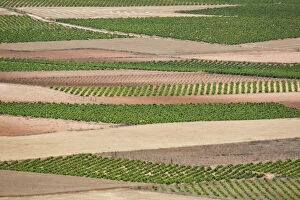 Crops Gallery: Europe, Spain, Granada. Crops of the Andalusia