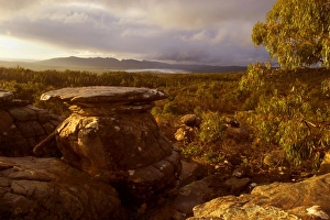 Images Dated 28th April 2008: Evening in the Grampians - mystic atmosphere in the Grampians after a thunderstorm