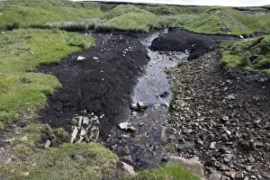 Bogs Prints: Exposed peaty black soil Chapel Fell St Johns Chapel Yorkshire Northumberland border UK