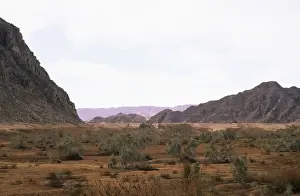 Eygpy - a typical uninhabited oasis on a salty water spring among rocks in Arabian desert approx. 50 km from Hurghada town (Red Sea shore); January Eg39. 0107