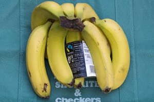 Images Dated 7th June 2005: Fairtrade bananas from Dominica on sale at Tesco, UK