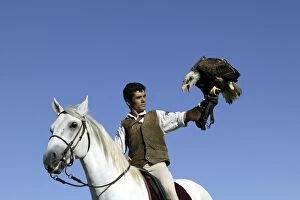 Images Dated 24th September 2004: Falconry - man on horse with Fish Eagle