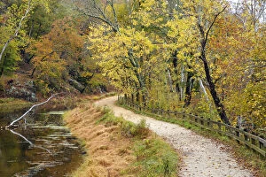 Images Dated 8th August 2011: Fall color along the old C & O Canal, C