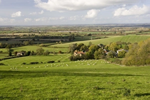 Farm - Typical sheep farm at foot of Cotswold escarpment near Stratford Farm - Typical sheep farm at foot of Cotswold escarpment near Stratford